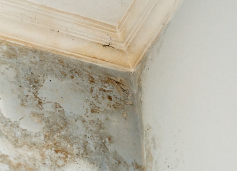 Water Damage in Walls After a Winter Freeze