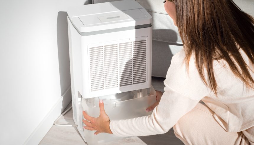 Using a dehumidifier