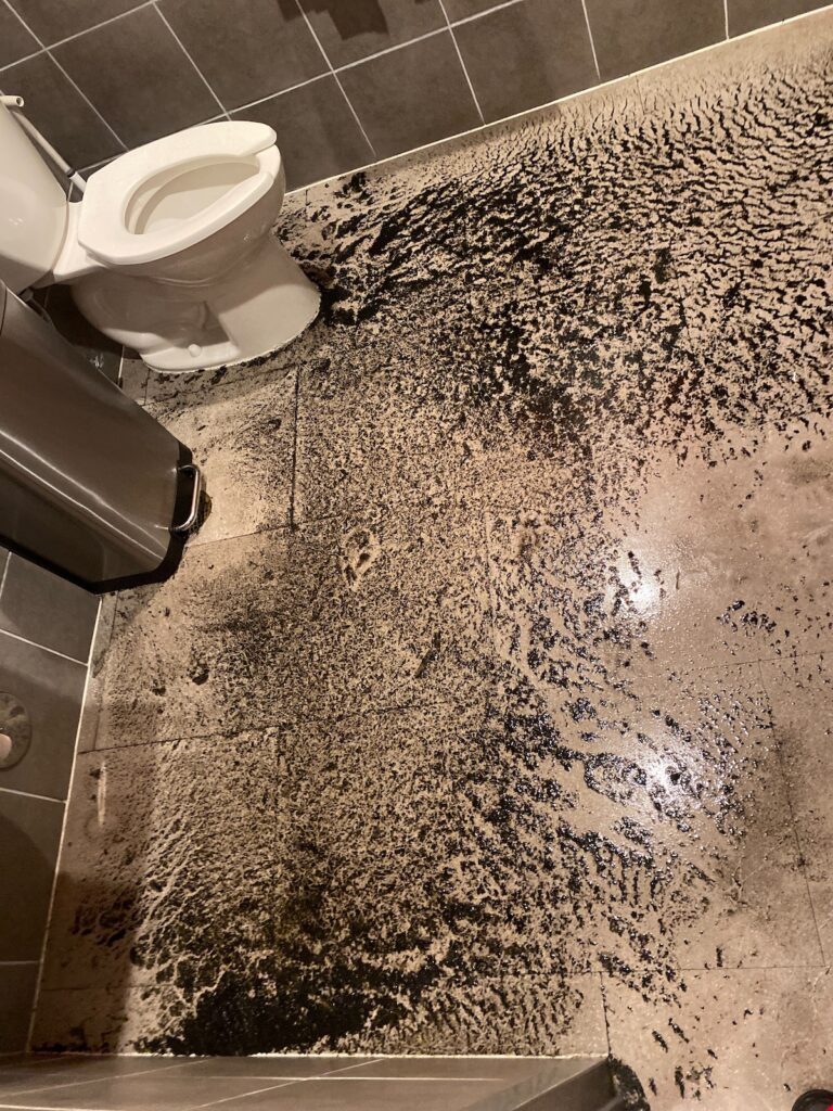 PuroClean Water and Fire Damage Restoration