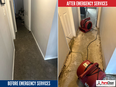 Avoid Costly Setbacks: What Every Business Property Owner Should Know About Water Restoration