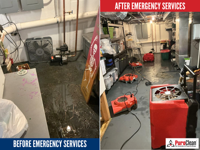 Residential Water Damage Restoration: Why Early Detection Is Critical