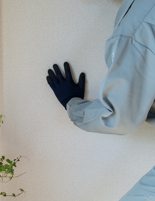 Mold Post-Remediation Verification