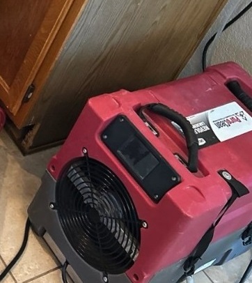 mold odor removal