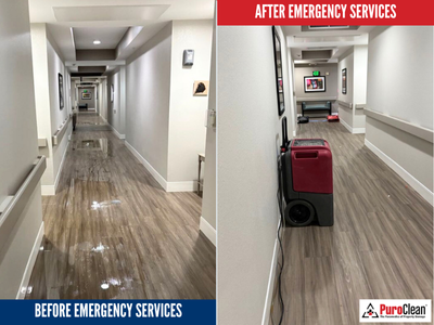 Emergency water cleanup services by PuroClean of Park Cities/North Dallas in a commercial hallway, showing standing water removal and structural drying in progress.