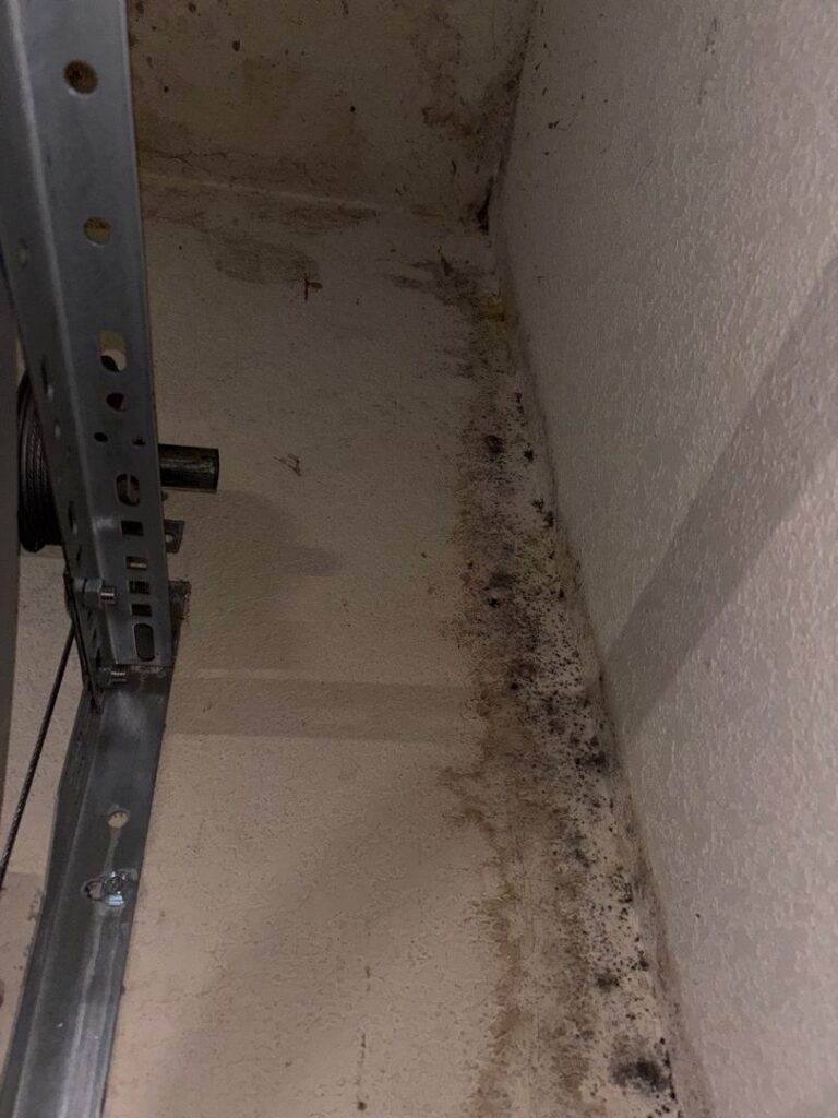 Dark mold growth showing small black spots spreading along a garage wall ceiling joint and metal track.
