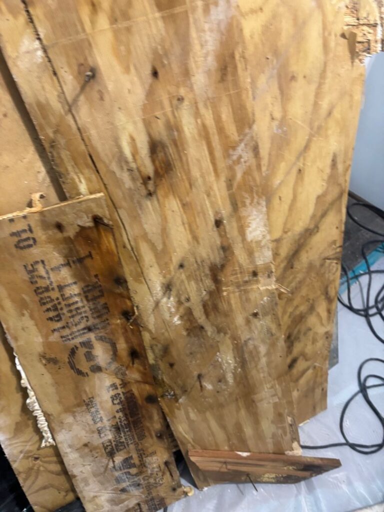 Severe moisture damage and dark toxic mold growth staining wooden plywood building panels.
