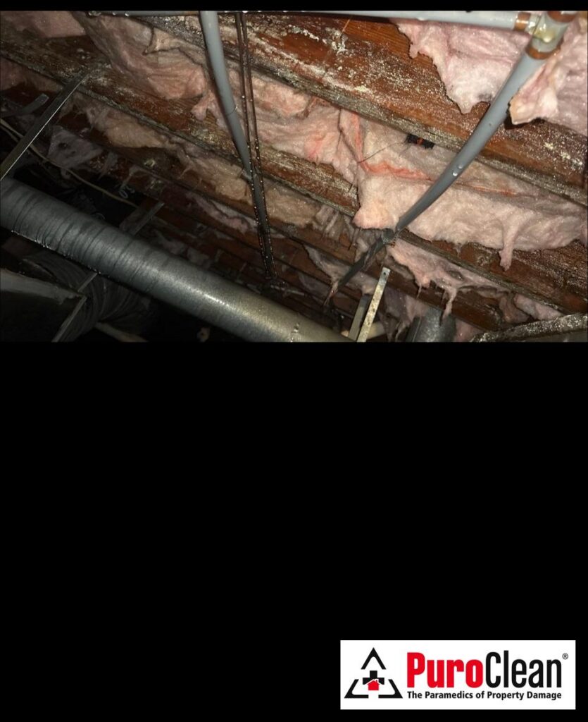 Crawl space with exposed insulation and pipes, illustrating conditions that promote mold growth in summer.