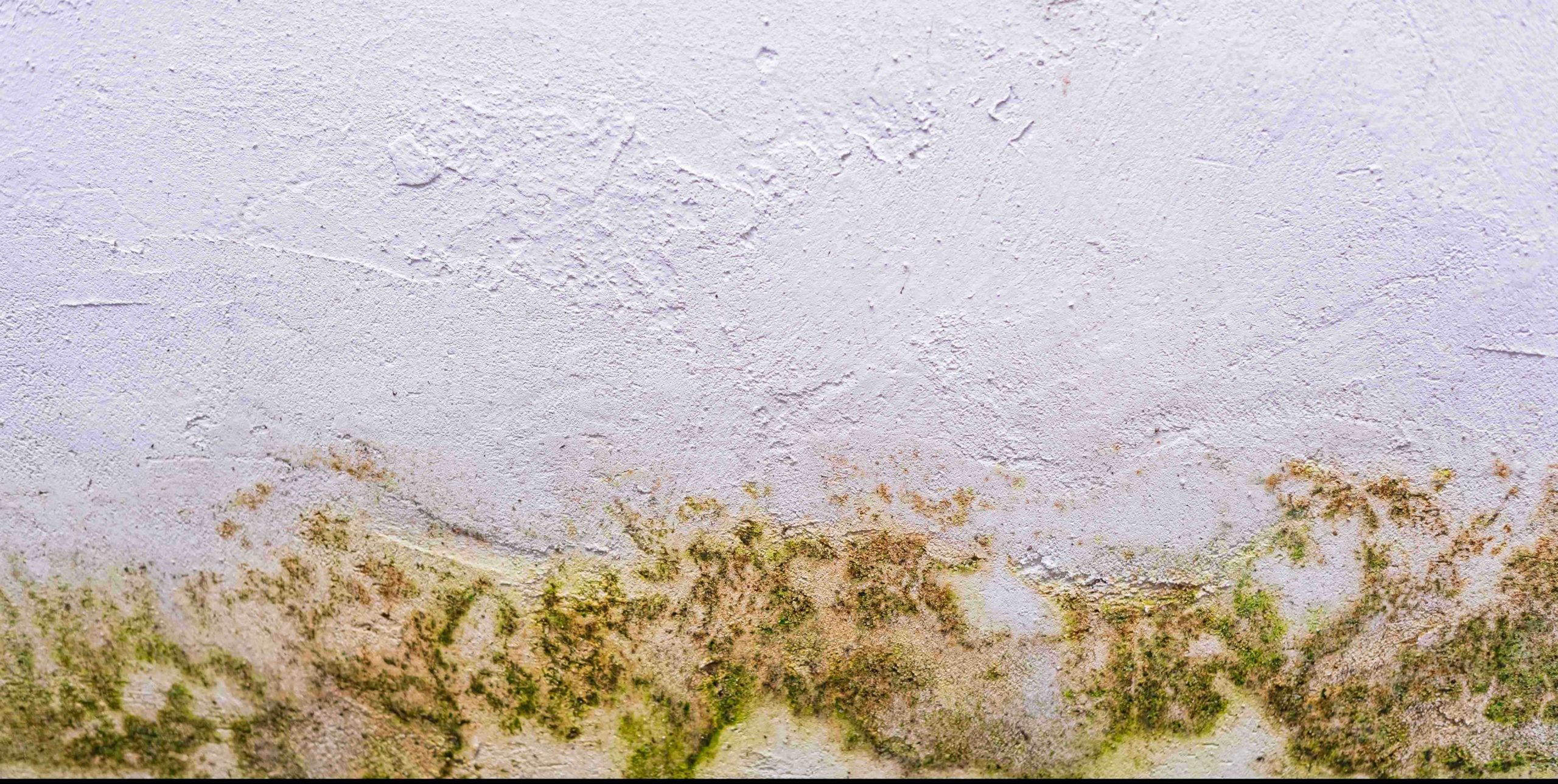 Water Damage Restoration