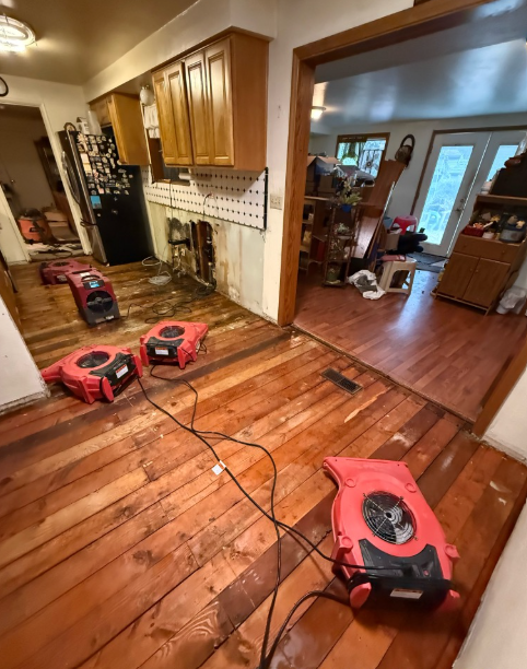 Rapid Response Water Extraction in Tacoma Service