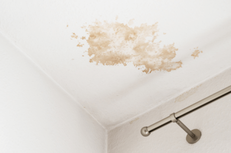 Water Damage Restoration in WA
