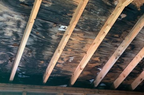 Fire Damage Prevention Tips for Homeowners in Federal Way, WA