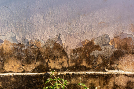 Foundation Water Damage: Causes, Signs, and Solutions