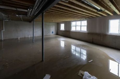 How to Prevent Mold Growth in Your Basement