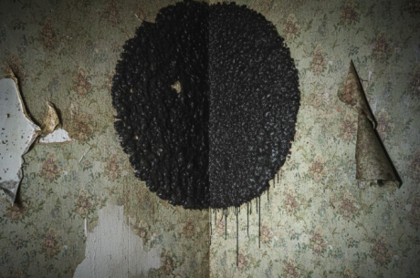 5 Dangerous Signs of Black Mold Exposure & How to Remove It Safely