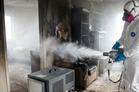 How to Get Rid of Dead Rat Smell When You Can't Find It