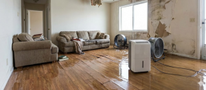 Critical Winter Sewage Backup Prevention Guide