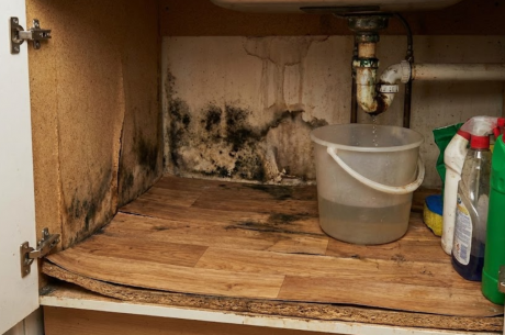 Early Signs and Cost of Water Damage under Kitchen Sink