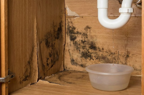 Quick Kitchen Cabinet Water Damage Repair in Tacoma Washington