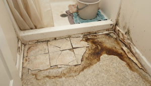 Shower Leak Water Damage Repair in Washington