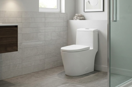 Toilet Overflow Emergency Cleanup in Tacoma