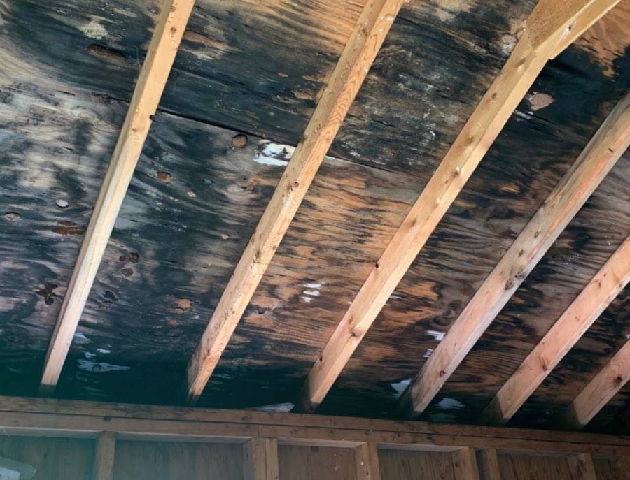 Fire Damage Prevention Tips for Homeowners in Federal Way, WA