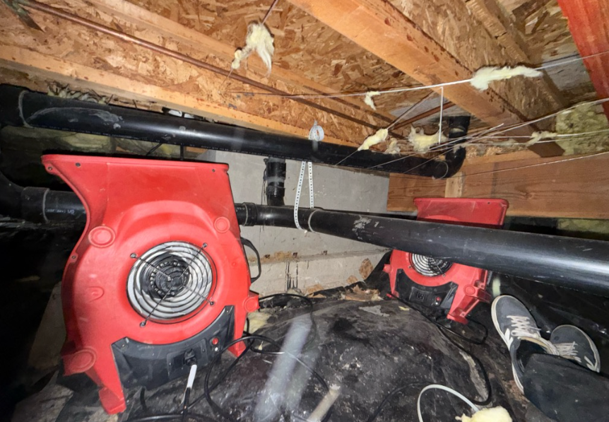 Crawl Space Restoration in Federal Way WA