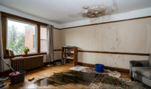 Water Leak in Fife Heights - The Urgent Complete Guide to Protecting Your Home