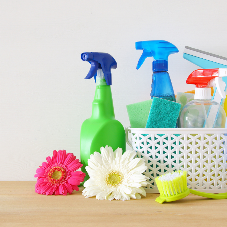 Spring Cleaning