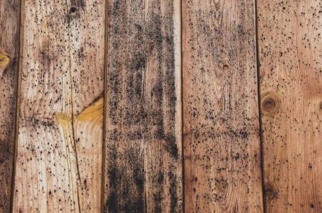 The Ultimate Guide to Cleaning Mold Off Wood Furniture