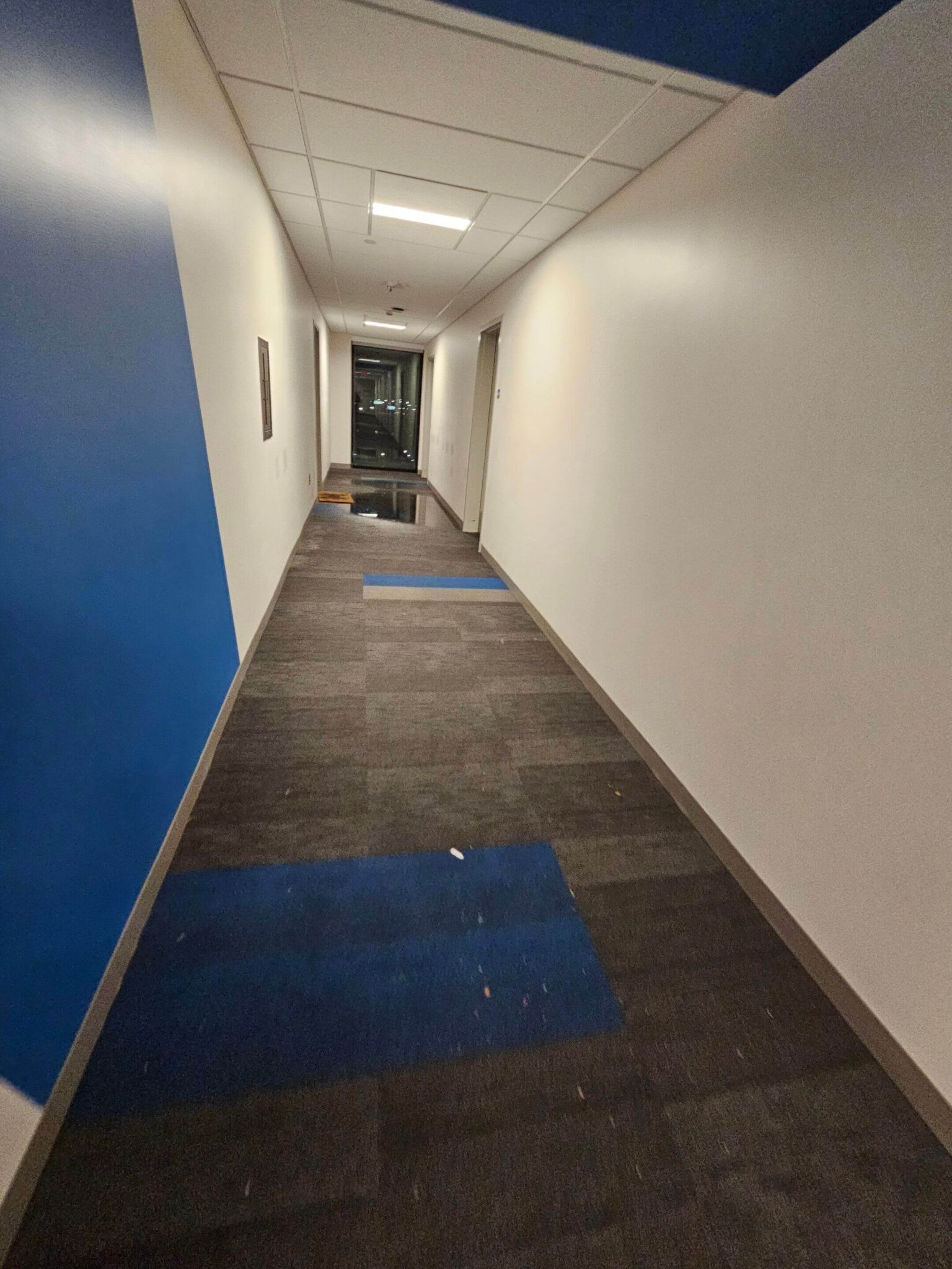 Gallery image with a fresh perspective