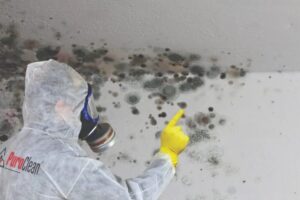 Mold remediation specialist in a hazmat suit points to widespread mold growth on a wall. TITLE