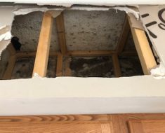 PuroClean of Biloxi Mold remediaiton