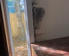 PuroClean of Biloxi Mold and Moisture