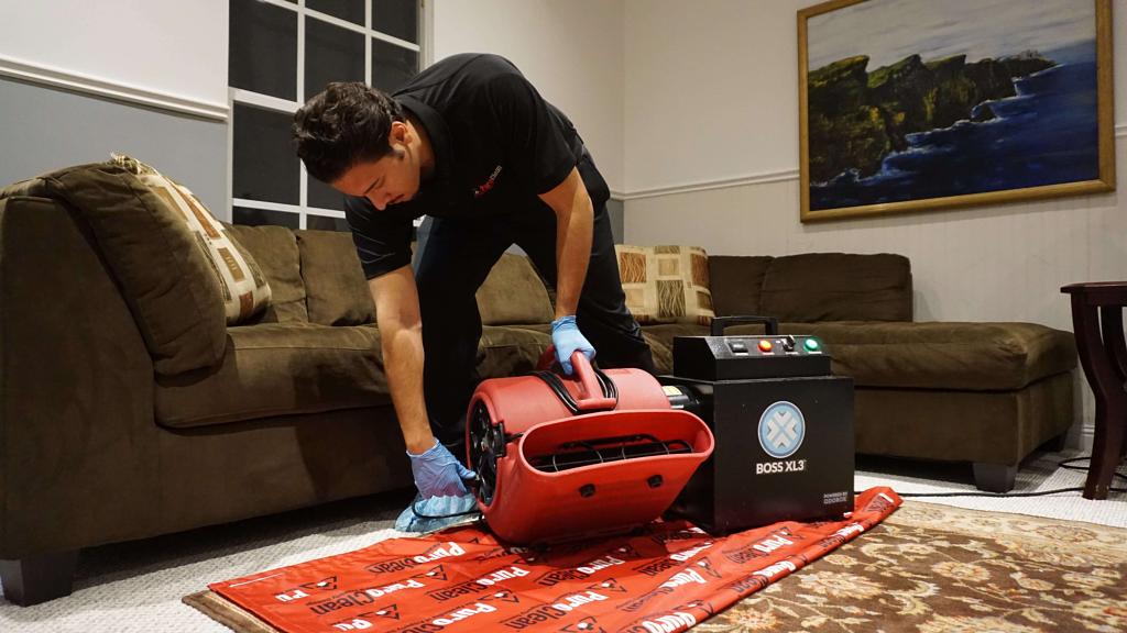 A technician uses an odor control machine while cleaning a living room with a couch and decorative artwork.