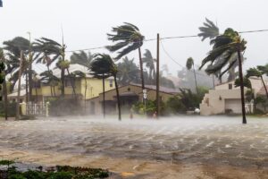 Hurricane winds and floodwaters batter a coastal street lined with houses and bent palm trees.