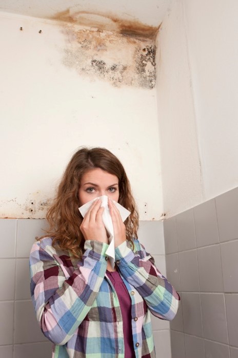 Allergies or mold can be hazardous to your health.