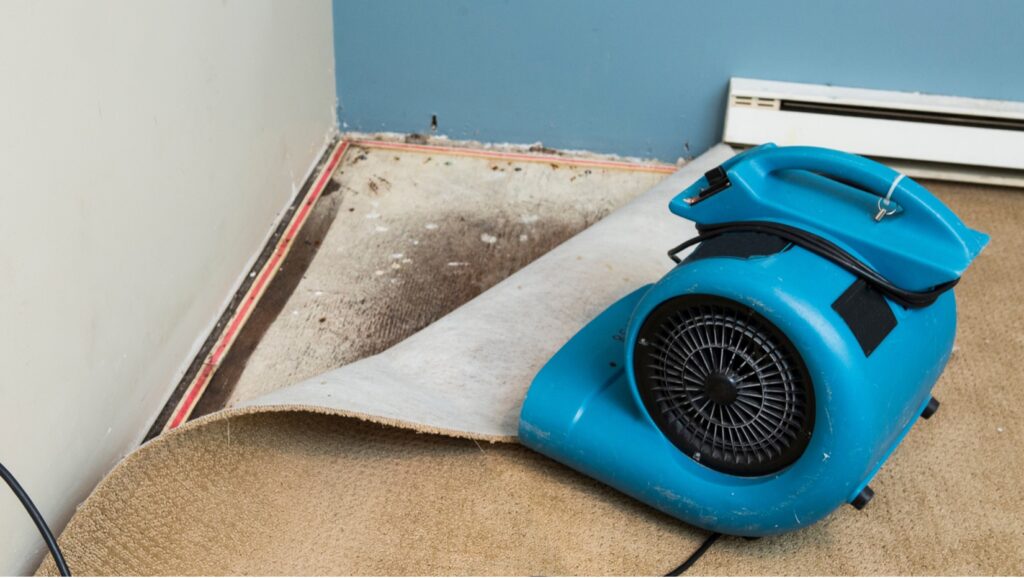 Water Damage Restoration in Overland Park  