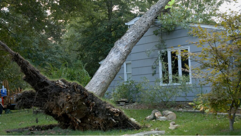 Overland Park Water Damage Restoration Company