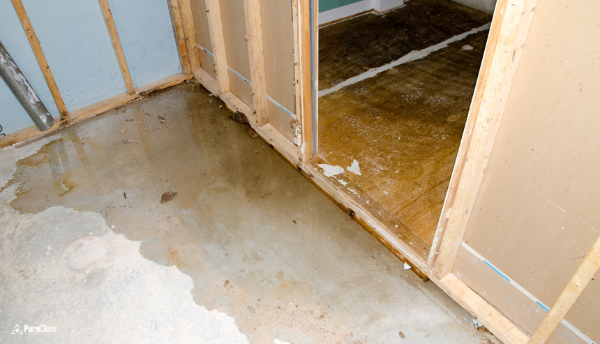 What to Do If You Find Water in Your Basement