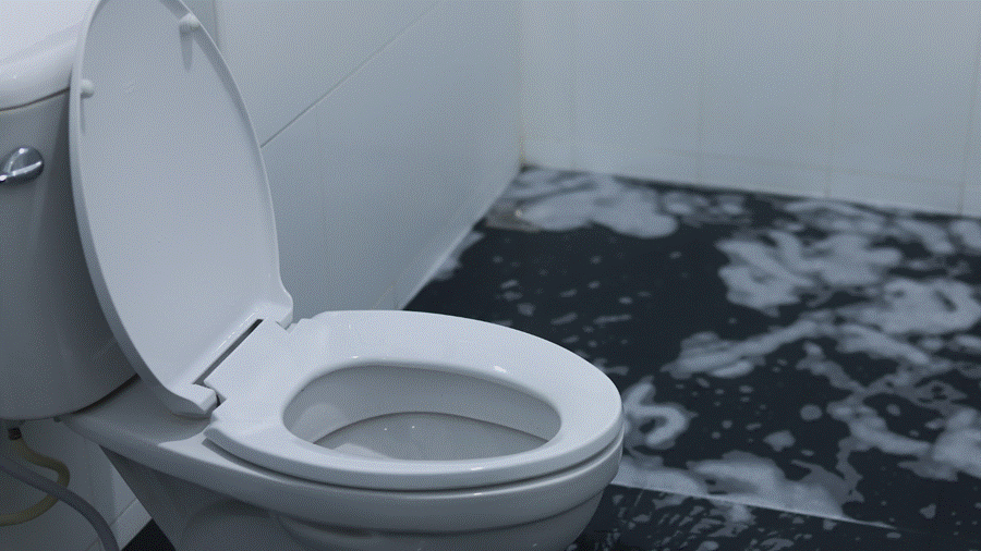 Overland Park Water Damage Companies