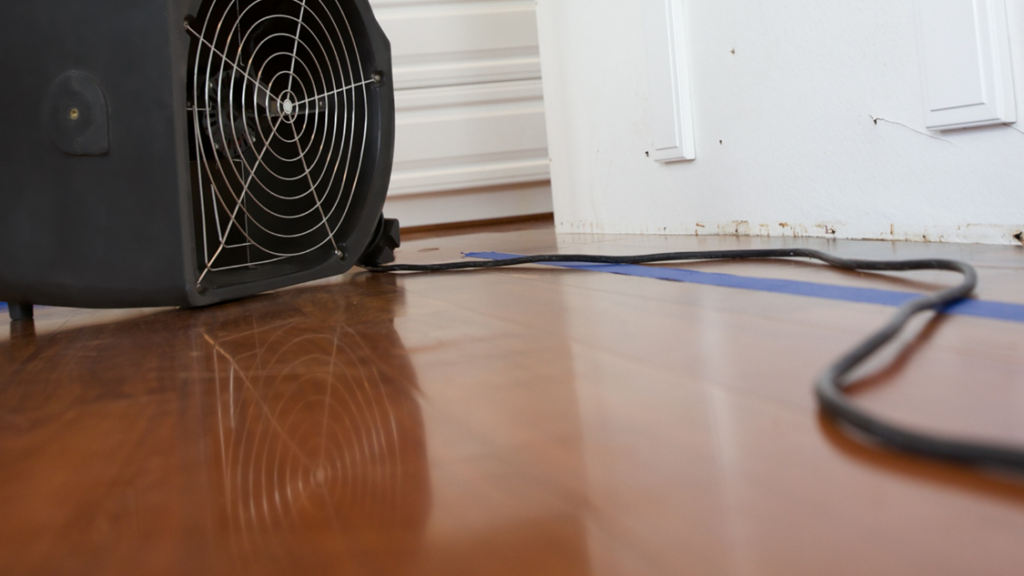 Water Damage Services in Overland Park