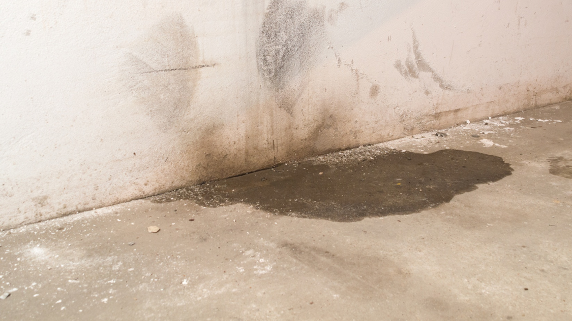 water damage repair in overland park