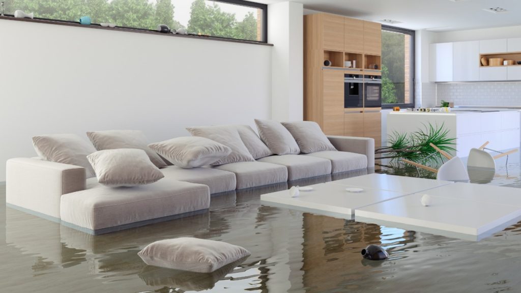 Water Damage Service in Overland Park