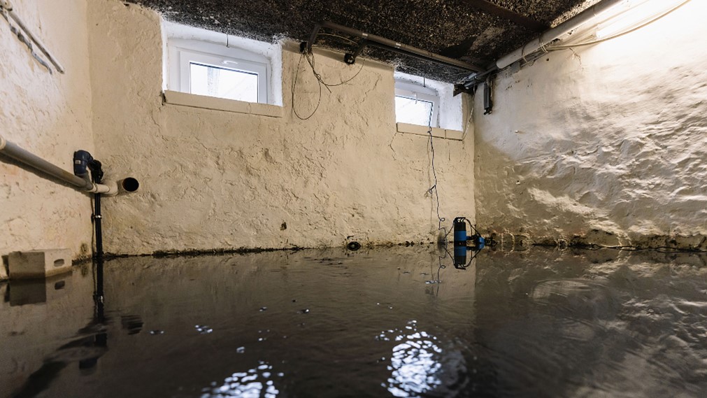 Flooded Basement Cleanup in Overland Park