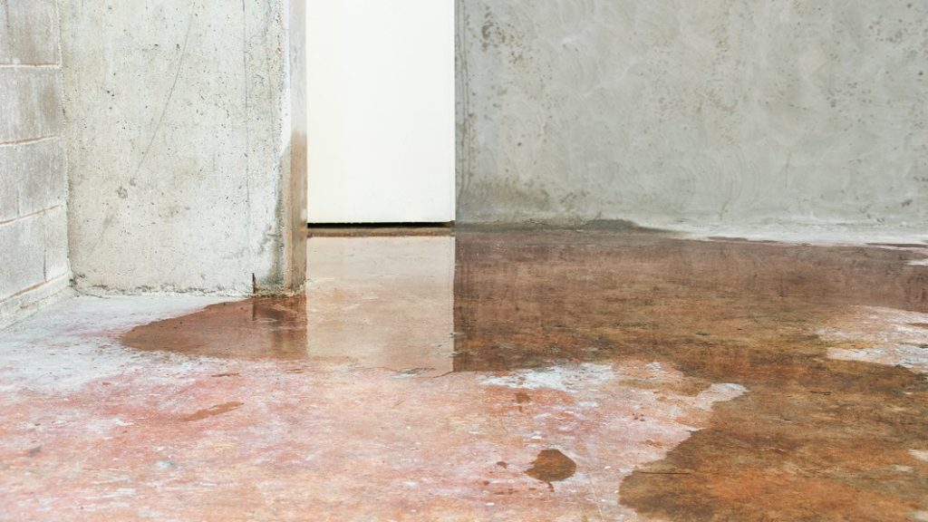 Overland Park Emergency Water Damage Cleanup