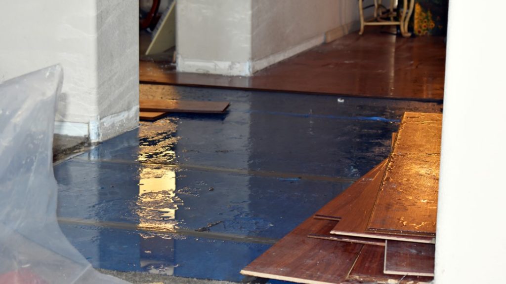 Water Damage Company in Overland Park