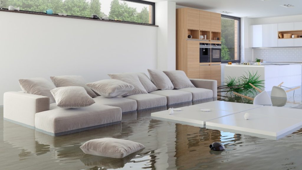 Flooded Basement Cleanup in Overland Park
