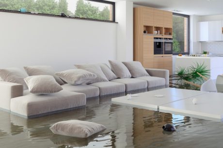 Flooded Basement Cleanup in Overland Park