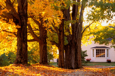 How To Prepare Your Home For Fall