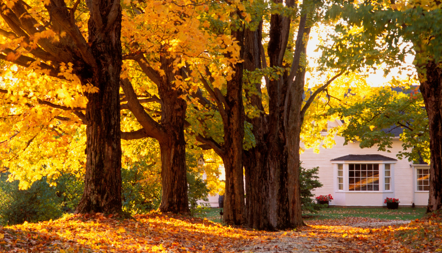 How To Prepare Your Home For Fall